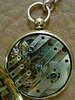 0024 Movement Thumbnail