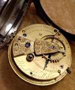 0227 Movement Thumbnail