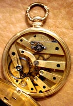 0337 Movement Thumbnail