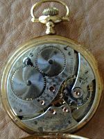 A077 Movement Thumbnail