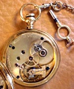 A200 Movement Thumbnail