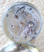 A229 Movement Thumbnail
