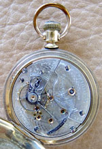 M035 Movement Thumbnail